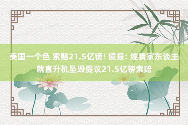 美国一个色 索赔21.5亿镑! 镜报: 维猜家东谈主就直升机坠毁提议21.5亿镑索赔
