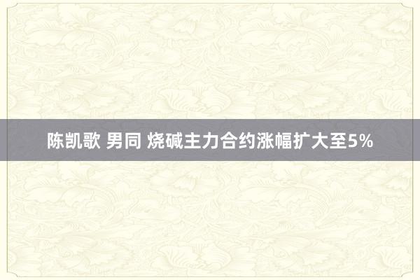 陈凯歌 男同 烧碱主力合约涨幅扩大至5%