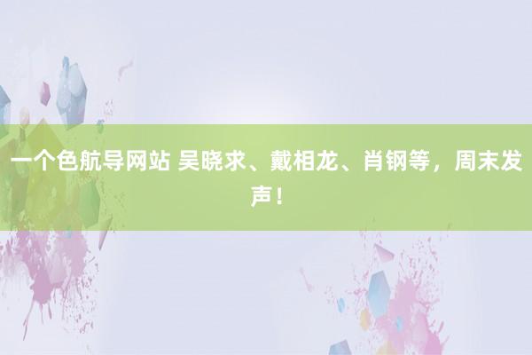 一个色航导网站 吴晓求、戴相龙、肖钢等，周末发声！