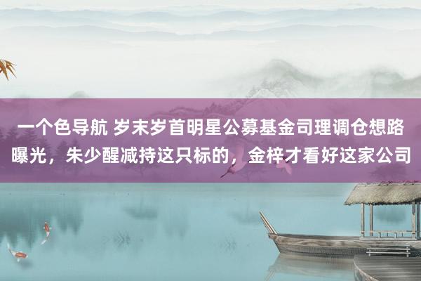 一个色导航 岁末岁首明星公募基金司理调仓想路曝光，朱少醒减持这只标的，金梓才看好这家公司