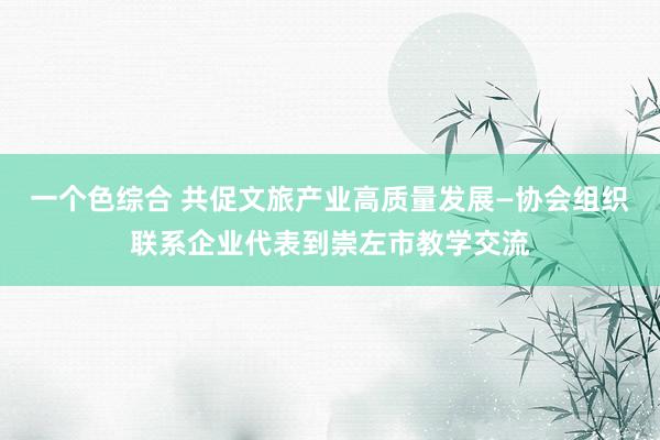 一个色综合 共促文旅产业高质量发展—协会组织联系企业代表到崇左市教学交流
