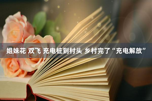姐妹花 双飞 充电桩到村头 乡村完了“充电解放”