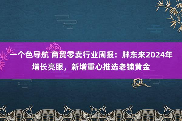 一个色导航 商贸零卖行业周报:胖东来2024年增长亮眼,新增重心推选老铺黄金