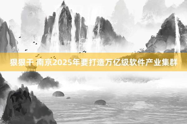 狠狠干 南京2025年要打造万亿级软件产业集群