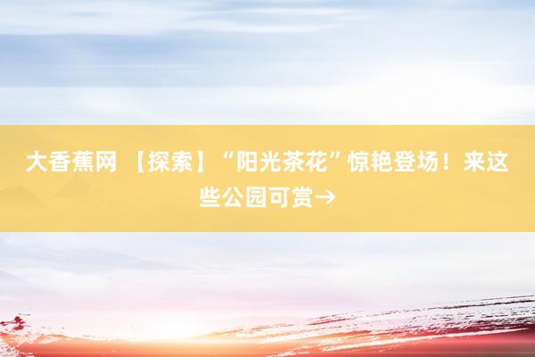 大香蕉网 【探索】“阳光茶花”惊艳登场！来这些公园可赏→