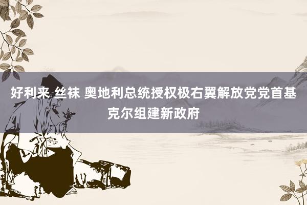 好利来 丝袜 奥地利总统授权极右翼解放党党首基克尔组建新政府