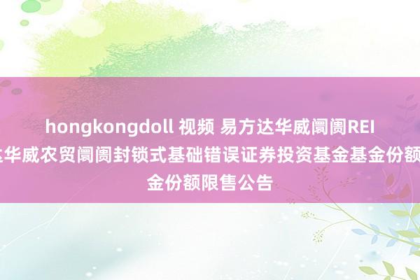 hongkongdoll 视频 易方达华威阛阓REIT: 易方达华威农贸阛阓封锁式基础错误证券投资基金基金份额限售公告