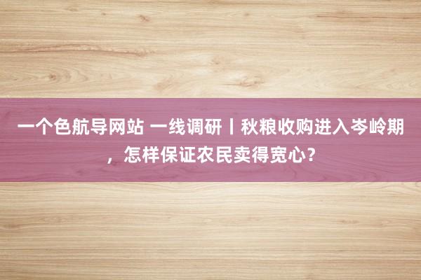 一个色航导网站 一线调研丨秋粮收购进入岑岭期，怎样保证农民卖得宽心？