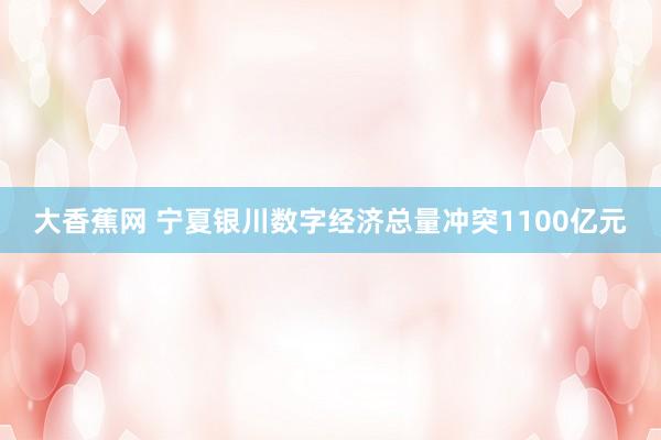 大香蕉网 宁夏银川数字经济总量冲突1100亿元