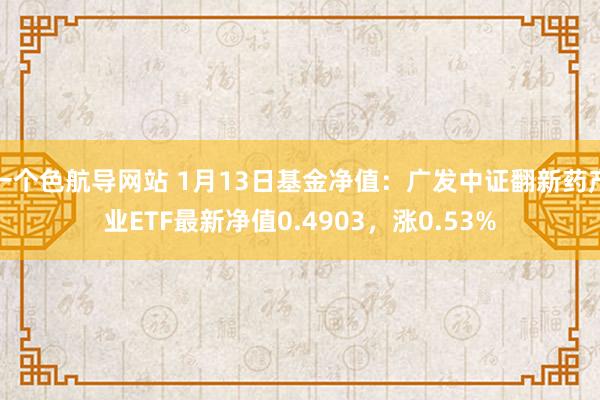 一个色航导网站 1月13日基金净值：广发中证翻新药产业ETF最新净值0.4903，涨0.53%
