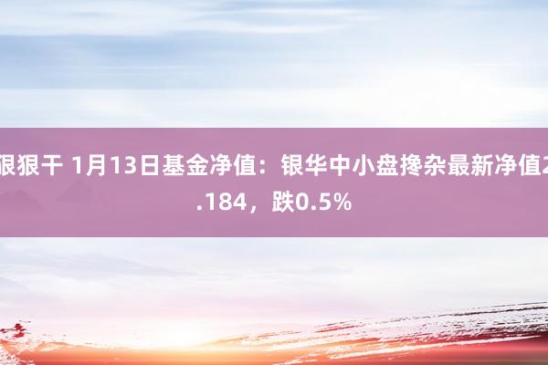 狠狠干 1月13日基金净值：银华中小盘搀杂最新净值2.184，跌0.5%