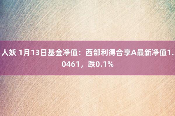 人妖 1月13日基金净值：西部利得合享A最新净值1.0461，跌0.1%