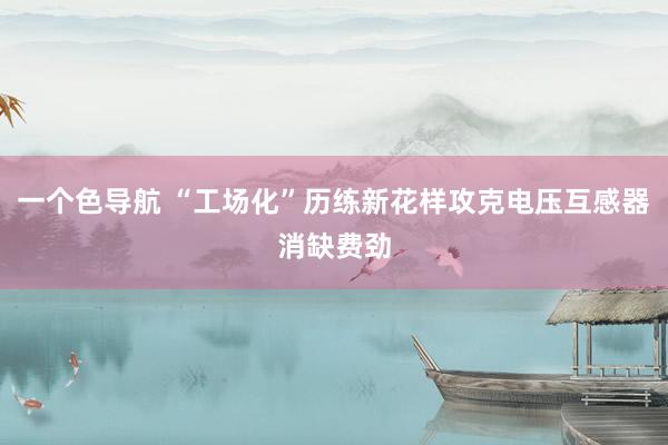 一个色导航 “工场化”历练新花样攻克电压互感器消缺费劲