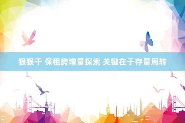 狠狠干 保租房增量探索 关键在于存量周转