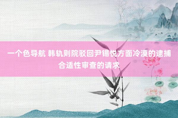 一个色导航 韩轨则院驳回尹锡悦方面冷漠的逮捕合适性审查的请求