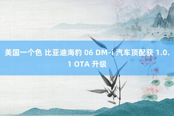 美国一个色 比亚迪海豹 06 DM-i 汽车顶配获 1.0.1 OTA 升级