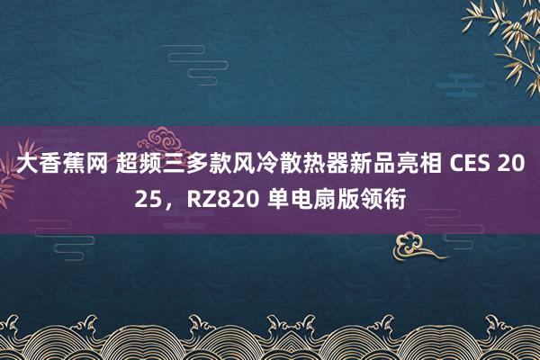 大香蕉网 超频三多款风冷散热器新品亮相 CES 2025，RZ820 单电扇版领衔