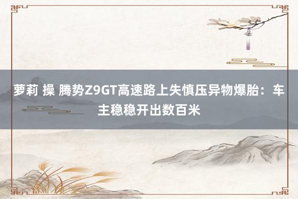 萝莉 操 腾势Z9GT高速路上失慎压异物爆胎：车主稳稳开出数百米