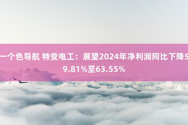 一个色导航 特变电工：展望2024年净利润同比下降59.81%至63.55%