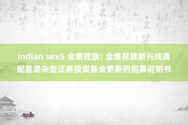 indian sex5 金鹰民族: 金鹰民族新兴纯真配置混杂型证券投资基金更新的招募说明书