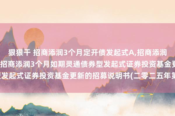 狠狠干 招商添润3个月定开债发起式A,招商添润3个月定开债发起式C: 招商添润3个月如期灵通债券型发起式证券投资基金更新的招募说明书(二零二五年第一号)