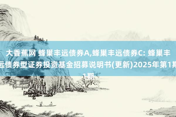 大香蕉网 蜂巢丰远债券A,蜂巢丰远债券C: 蜂巢丰远债券型证券投资基金招募说明书(更新)2025年第1期