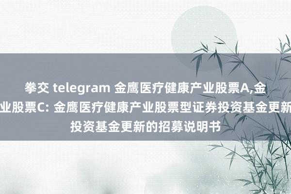 拳交 telegram 金鹰医疗健康产业股票A,金鹰医疗健康产业股票C: 金鹰医疗健康产业股票型证券投资基金更新的招募说明书