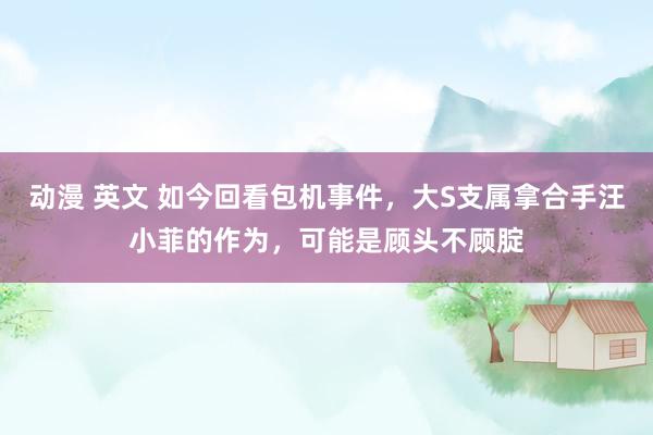 动漫 英文 如今回看包机事件，大S支属拿合手汪小菲的作为，可能是顾头不顾腚