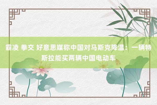 霸凌 拳交 好意思媒称中国对马斯克降温：一辆特斯拉能买两辆中国电动车
