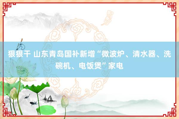 狠狠干 山东青岛国补新增“微波炉、清水器、洗碗机、电饭煲”家电