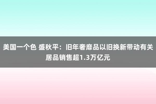 美国一个色 盛秋平：旧年奢靡品以旧换新带动有关居品销售超1.3万亿元
