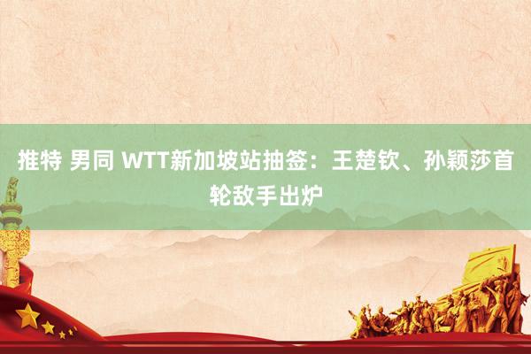 推特 男同 WTT新加坡站抽签：王楚钦、孙颖莎首轮敌手出炉
