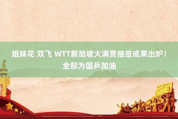 姐妹花 双飞 WTT新加坡大满贯抽签成果出炉！全部为国乒加油
