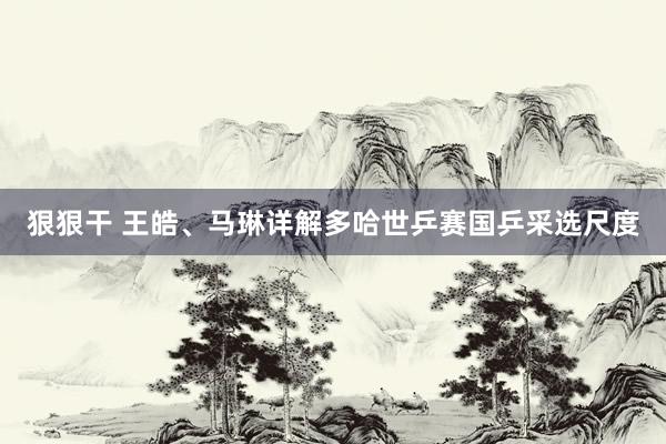 狠狠干 王皓、马琳详解多哈世乒赛国乒采选尺度