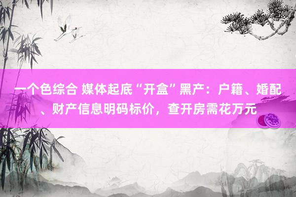一个色综合 媒体起底“开盒”黑产：户籍、婚配、财产信息明码标价，查开房需花万元
