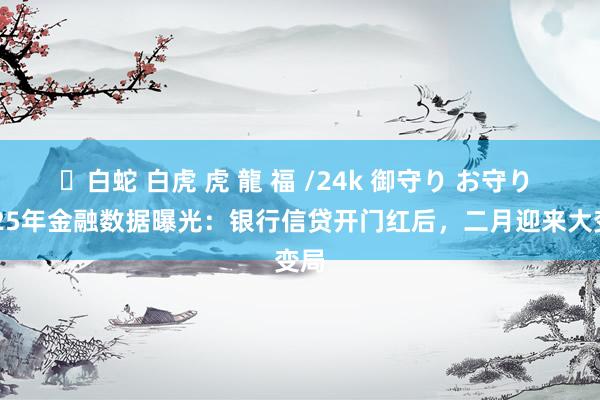 ✨白蛇 白虎 虎 龍 福 /24k 御守り お守り 2025年金融数据曝光：银行信贷开门红后，二月迎来大变局