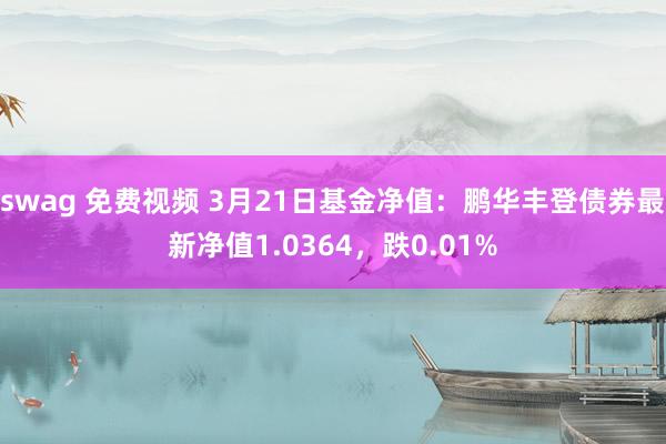 swag 免费视频 3月21日基金净值：鹏华丰登债券最新净值1.0364，跌0.01%