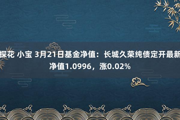 探花 小宝 3月21日基金净值：长城久荣纯债定开最新净值1.0996，涨0.02%