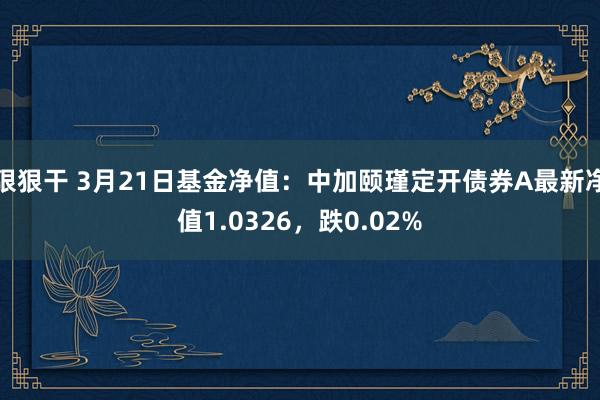 狠狠干 3月21日基金净值：中加颐瑾定开债券A最新净值1.0326，跌0.02%