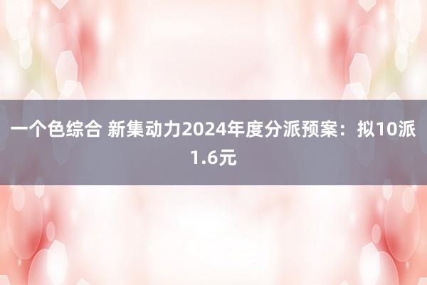 一个色综合 新集动力2024年度分派预案：拟10派1.6元
