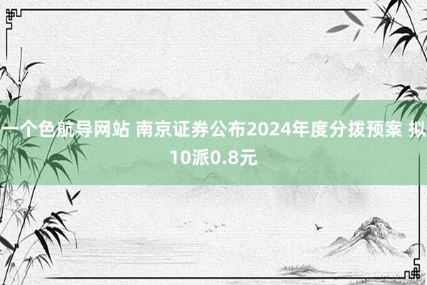 一个色航导网站 南京证券公布2024年度分拨预案 拟10派0.8元