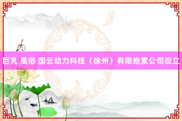 巨乳 風俗 国云动力科技（徐州）有限拖累公司设立