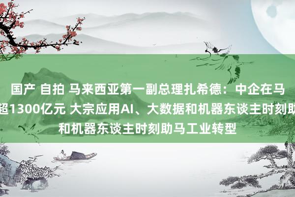 国产 自拍 马来西亚第一副总理扎希德：中企在马制造业投资超1300亿元 大宗应用AI、大数据和机器东谈主时刻助马工业转型