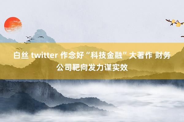 白丝 twitter 作念好“科技金融”大著作 财务公司靶向发力谋实效