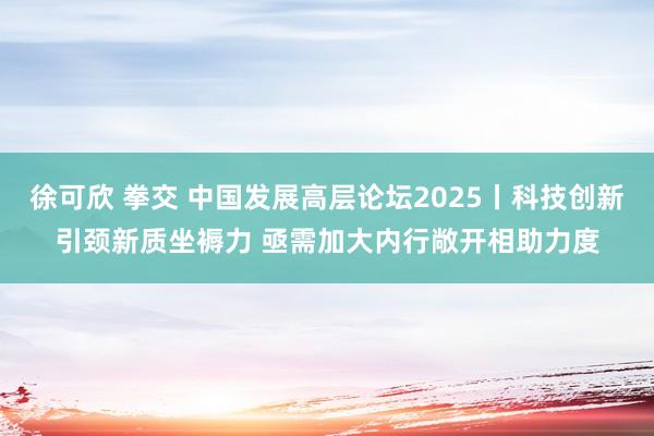 徐可欣 拳交 中国发展高层论坛2025丨科技创新引颈新质坐褥力 亟需加大内行敞开相助力度