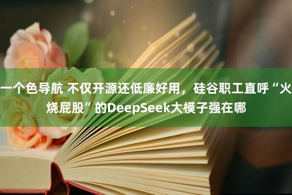 一个色导航 不仅开源还低廉好用，硅谷职工直呼“火烧屁股”的DeepSeek大模子强在哪