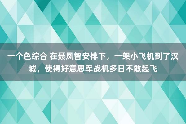 一个色综合 在聂凤智安排下，一架小飞机到了汉城，使得好意思军战机多日不敢起飞