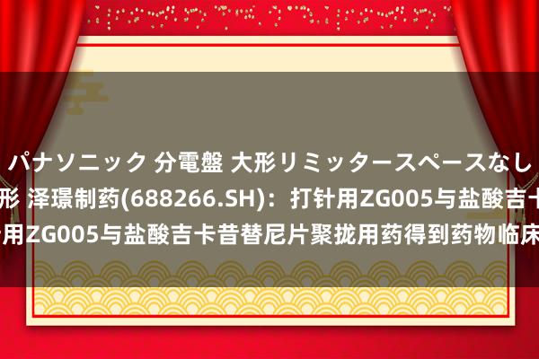 パナソニック 分電盤 大形リミッタースペースなし 露出・半埋込両用形 泽璟制药(688266.SH)：打针用ZG005与盐酸吉卡昔替尼片聚拢用药得到药物临床考研批准