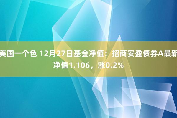 美国一个色 12月27日基金净值：招商安盈债券A最新净值1.106，涨0.2%