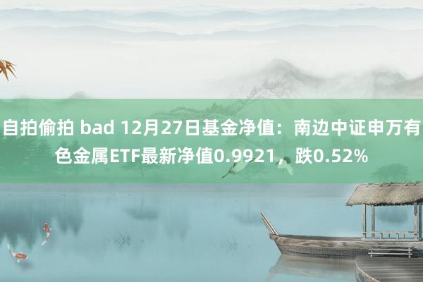 自拍偷拍 bad 12月27日基金净值：南边中证申万有色金属ETF最新净值0.9921，跌0.52%